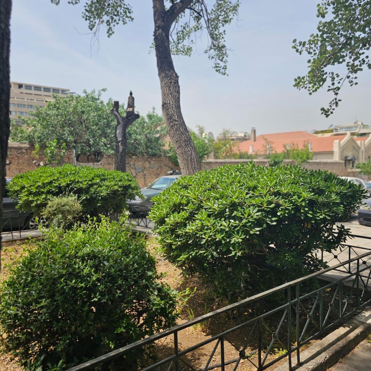 Diocharous Garden Apartment Athen Exterior foto