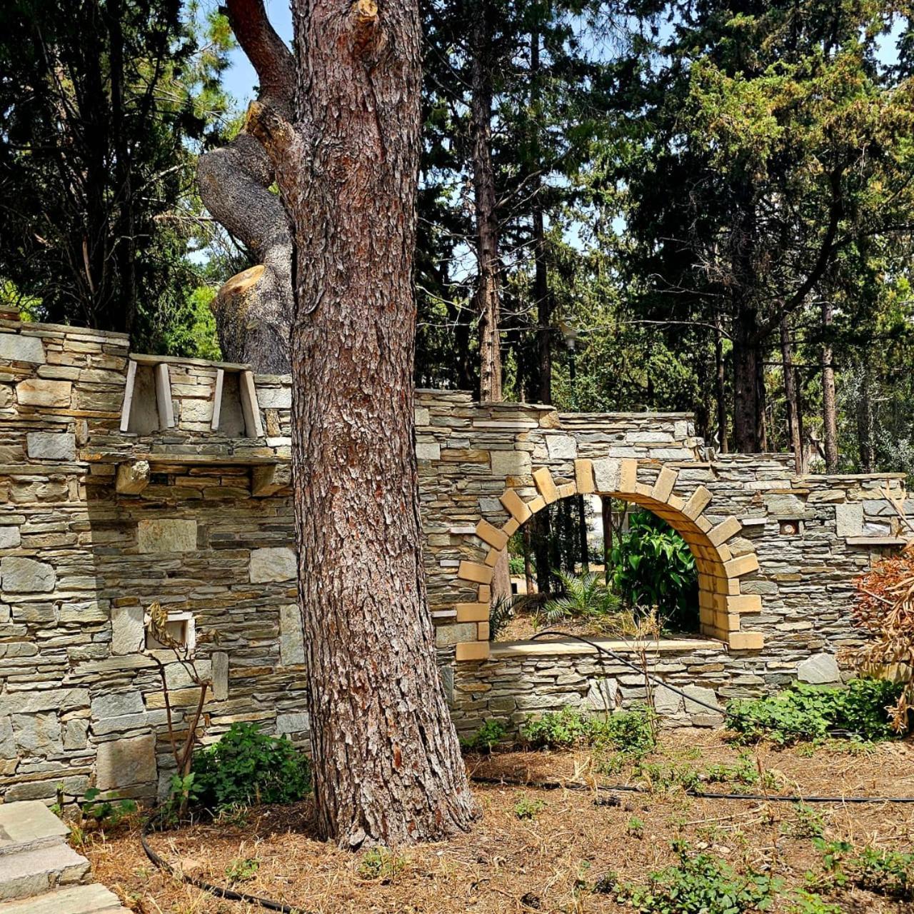 Diocharous Garden Apartment Athen Exterior foto